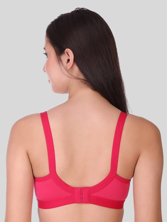 Red/Maroon